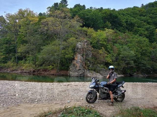 Suzuki SV 1000. 1 000����. ��., ��������, ���������, ������ �� �� ����