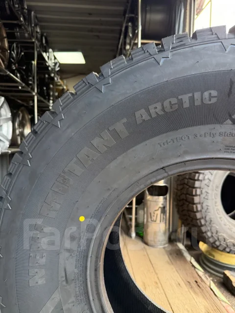 Predator New Mutant Arctic. ������, ����������, 2026 ���, ����� ����