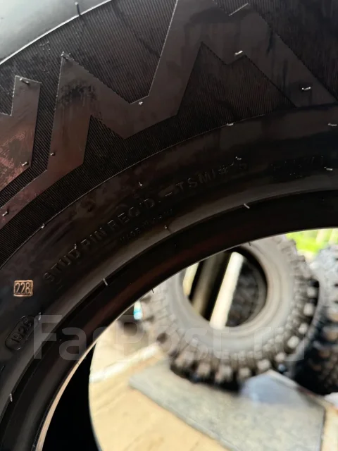 Predator New Mutant Arctic. ������, ����������, 2026 ���, ����� ����