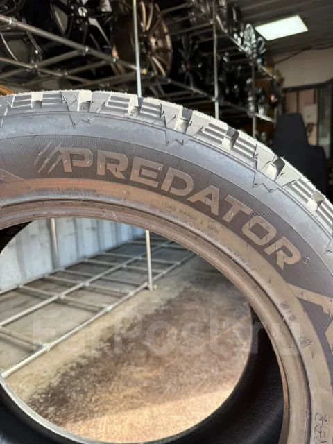 Predator New Mutant Arctic. ������, ����������, 2026 ���, ����� ����