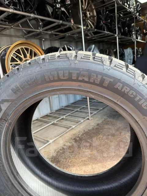 Predator New Mutant Arctic. ������, ����������, 2026 ���, ����� ����