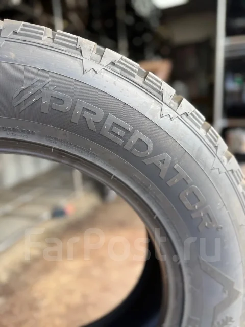 Predator New Mutant Arctic. ������, ����������, 2026 ���, ����� ����