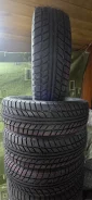 ������� ���-277. ������, ��� �����, 2026 ���, ����� ����