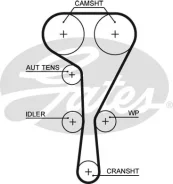 �������� ����� ��� Renault Avantime, Laguna Gates K035550XS K035550XS ����