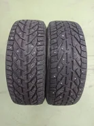 Tigar Ice. ������, ����������, 2021 ���, �/�, ����� 15 % ����