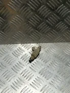 �������� ����������� ������������� ��� ���� 2111114401005 2111114401005 ����
