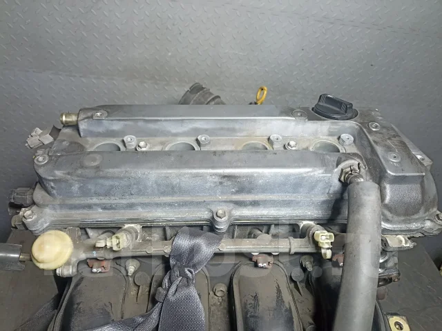 ��������� Toyota Alphard 1900028120 1900028120 ����