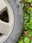 WinRun. ������, ����������, �/�, ����� 5 % ����