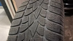 Dunlop SP Winter Sport 3D