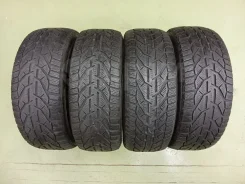 Tigar Winter. ������, ��� �����, 2019 ���, �/�, ����� 40 % ����