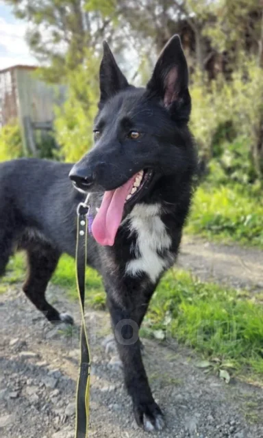 ������. ����
