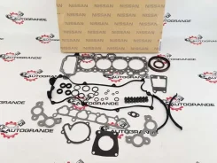 ����������� ��������� Nissan CG10 / CG13 1010199B25 1010199B25 ����