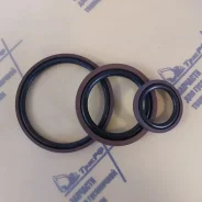 ���������� ������ ������������� 2 ����� SPGO 95*6.1 9561 ����