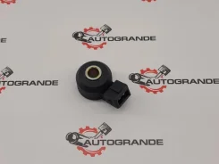 ������ ��������� Nissan X-Trail / Serena 220601KT0A 220601KT0A ����