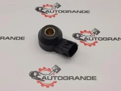 ������ ��������� Nissan X-Trail / Liberty / March 220602Y000 220602Y000 ����
