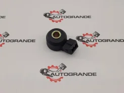 ������ ��������� Nissan Presage / Terrano / Rnessa 2206030P00 2206030P00 ����