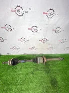 ������ Toyota Celica 2006 4341020800 ZZT231 2ZZ-GE, �������� ������ 4341020800 ����
