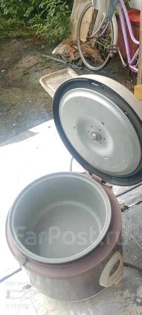 ���������. ����