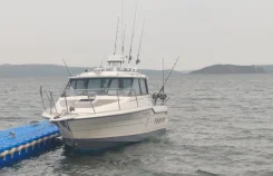 Bayliner. ����� 8��., ��������� ���������, 250��.�., ������ ����