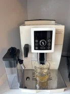 ����������. ����