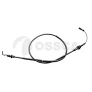 ���� ����: t-4: aac benz 05517 Ossca 05517 ����