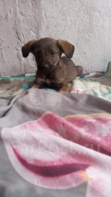 ������. ����