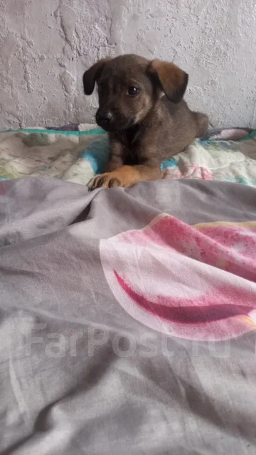 ������. ����