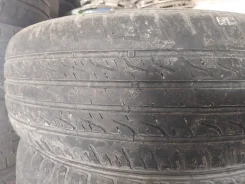 Horizon. ������, 2021 ���, �/�, ����� 50 % ����
