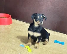������. ����