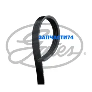 ������ ������������ Gates 4PK810SF 4PK810SF ����