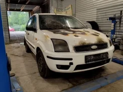 Ford Fusion. CBK, FXJB ����