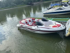 BRP Sea-Doo Challenger. 2000 ���, ����� 6��., ��������� ������������, 220��.�., ������ ����
