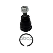 ����� ������� CTR ���. CB0334 CB0334 ����