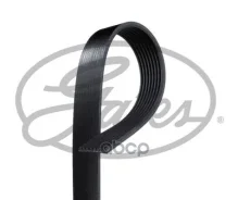 ������ Gates ���. 8PK2020HD 8PK2020HD ����