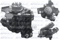 ������� ����� Dolz ���. A244 A244 Dolz A244 ����