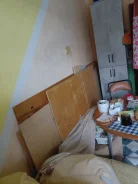 ������ 7�� �� ����