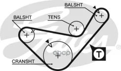 ������ ��� Gates ���. 5436XS 5436XS Gates 99x3/ 4 5436XS ����