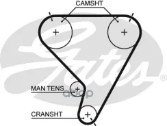 ������ ��� Gates ���. 5448XS 5448XS Gates 76133x1 5448XS ����