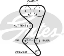 ������ ��� Gates ���. 5528XS 5528XS Gates 70153x1 HSN 5528XS ����