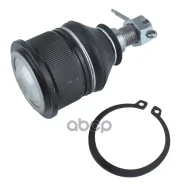����� ������� Jikiu ���. JB28182 JB28182 Jikiu JB28182 ����