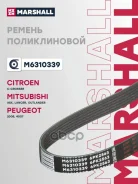 ������ ������������ Marshall ���. M6310339 M6310339 Marshall M6310339 ����