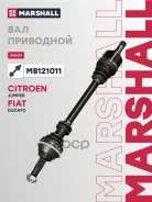 ������ � ����� Marshall ���. M8121011 M8121011 Marshall M8121011 ����