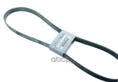 ������ ������������ 6PK1210 Nissan ���. 11720EN20B 11720EN20B Nissan 11720EN20B ����