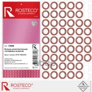 ������ �������������� ��������� ������� FPM 6�1,2 (50��) 21680 Rosteco ���. 21680 21680 ����