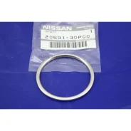 ������ �������������� ��������� ������� Nissan 2069130P00 2069130P00 ����