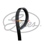������ ������������ Gates 4PK695SF Gates 4PK695SF ����
