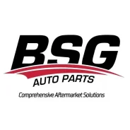 ����� ������� BMW F10/F11/F01/E70/E71 3.0D 08- BSG 15-500-025 QCP3746, 241116, P418, PA1116, 101116, 980826, 860011967, 40010, 20940010, B237, 65038...