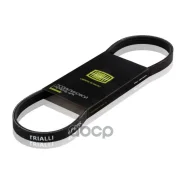 ������ ������������ Trialli ���. 4PK810 4PK810 Trialli 4PK810 ����