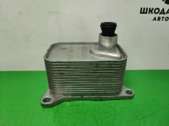 �������� �������� 06L117021G Skoda, VW 06L117021E ����
