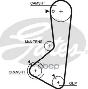 ������ ��� Gates ���. 5256XS 5256XS Gates 76122�24 HSN 5256XS ����